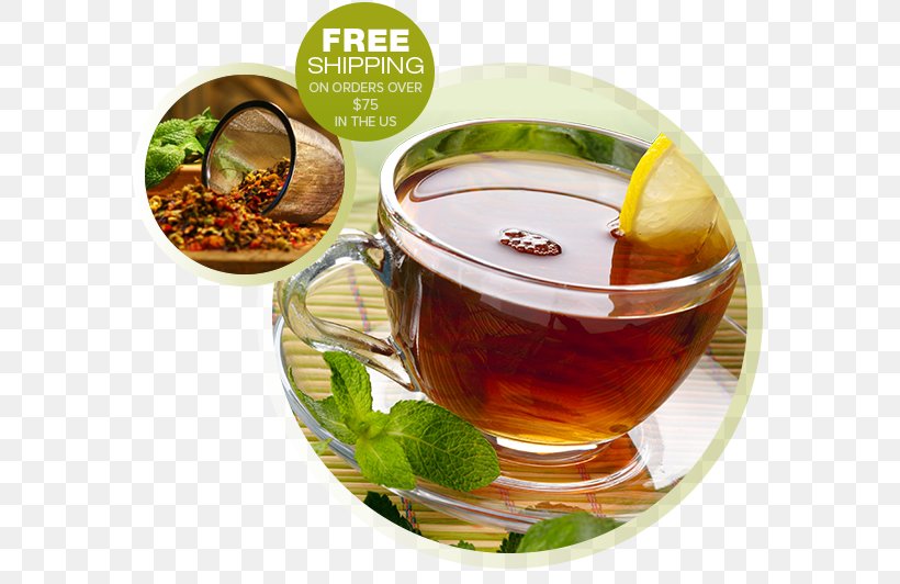 Intestine Medicinal Plants Health Medicine, PNG, 587x532px, Intestine, Assam Tea, Catnip, Chinese Herb Tea, Coffee Cup Download Free