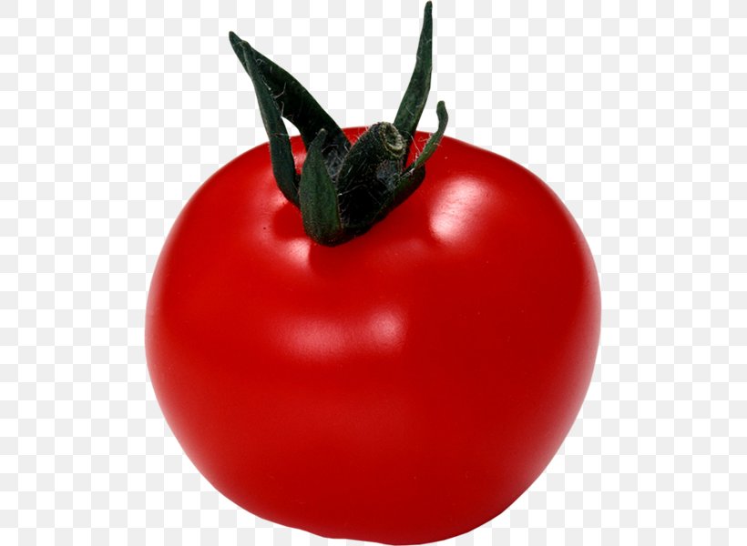 Italian Cuisine Cherry Tomato Greek Salad Vegetable, PNG, 503x600px, Italian Cuisine, Beefsteak Tomato, Bush Tomato, Cherry Tomato, Food Download Free
