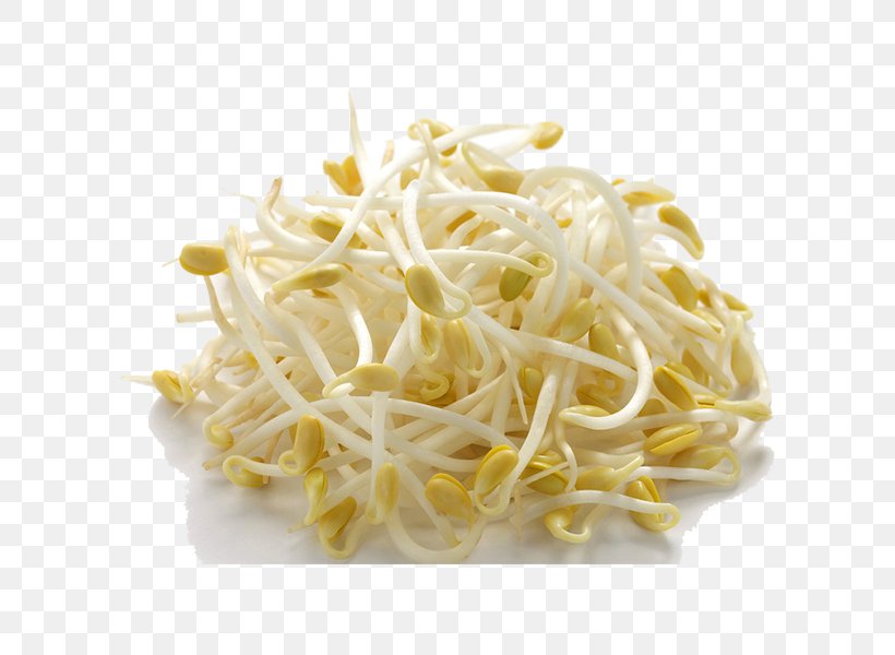 Soybean Sprout Asian Cuisine Sprouting Mung Bean, PNG, 600x600px, Soybean Sprout, Alfalfa Sprouts, Asian Cuisine, Bean, Bean Sprout Download Free