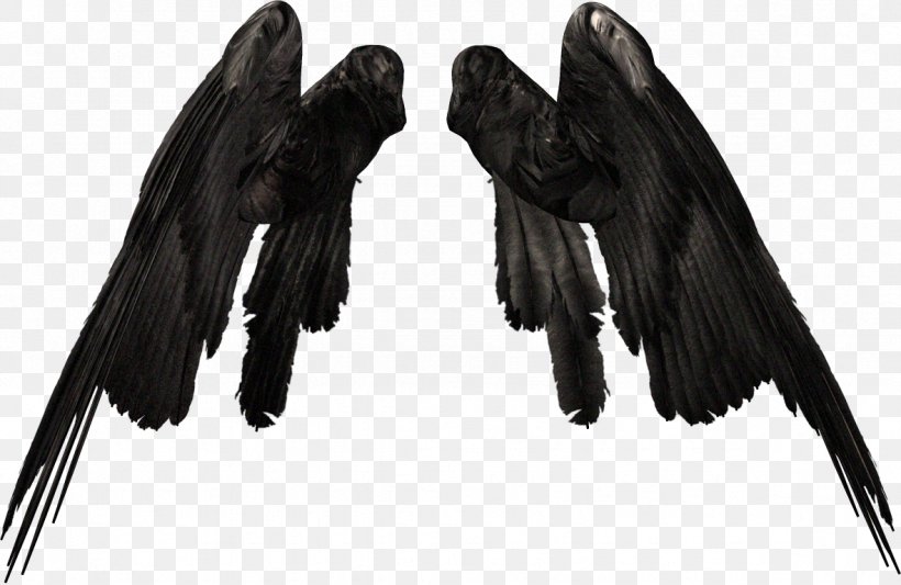 Wing Angel Clip Art, PNG, 1181x769px, Wing, Angel, Beak, Black, Black And White Download Free
