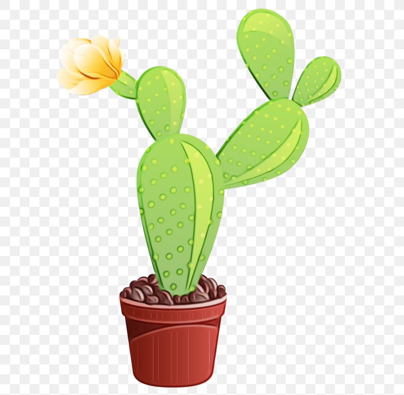 Cactus Clip Art Plant Stem Plants, PNG, 594x802px, Cactus, Botany, Caryophyllales, Flower, Flowering Plant Download Free