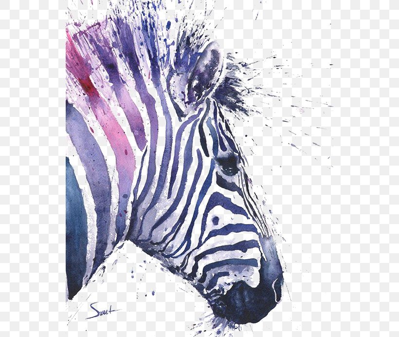 Cape Mountain Zebra Watercolor Painting Art, PNG, 550x692px, Zebra, Animal Painter, Animal Print, Art, Black And White Download Free