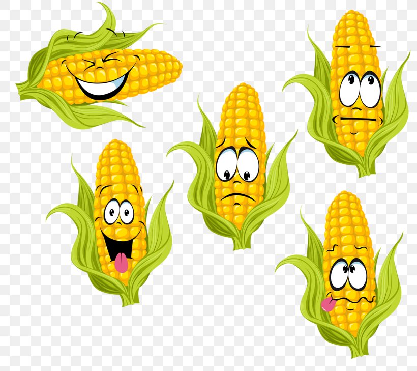 Clip Art Image Drawing Fruit Vegetable, PNG, 800x729px, Drawing, Cartoon, Commodity, Corn, Corn On The Cob Download Free