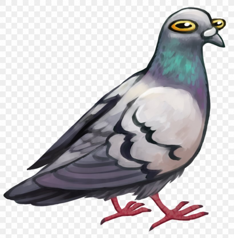 Columbidae Bird Domestic Pigeon Stock Dove Digital Art, PNG, 886x901px, Columbidae, Animal, Art, Beak, Bird Download Free