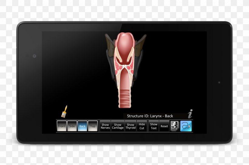 Computer App Store Apple Larynx IPod, PNG, 1351x900px, Computer, App Store, Apple, Apple Tv, Computer Accessory Download Free