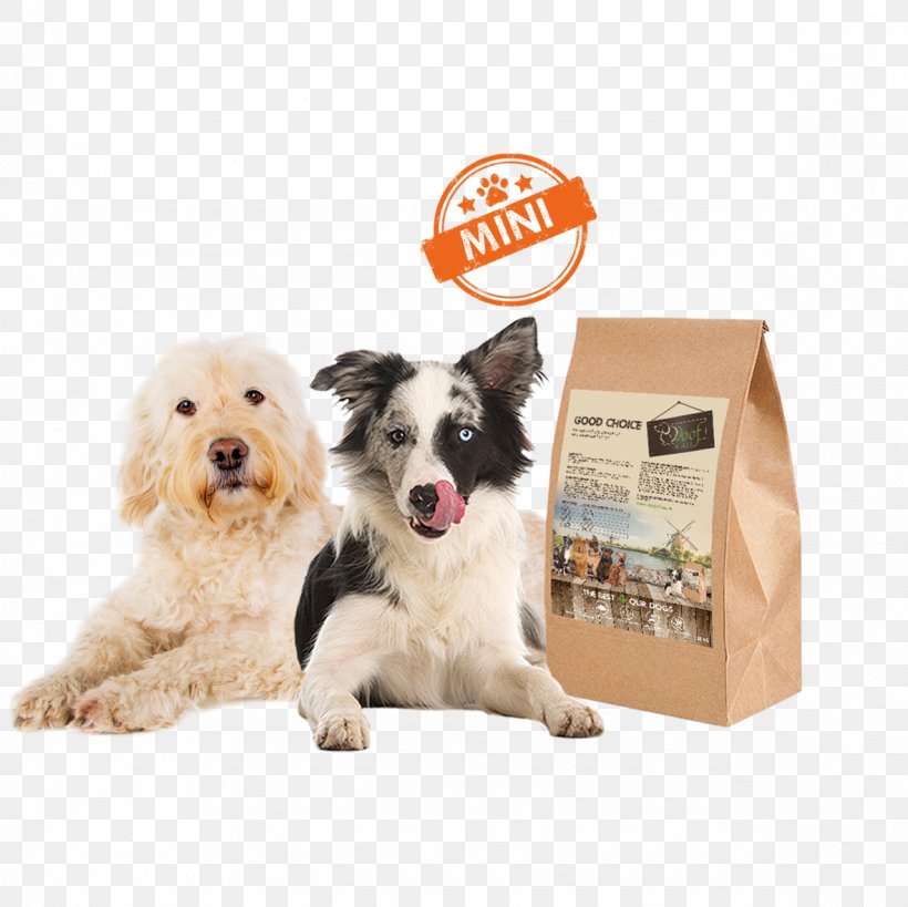 Dog Breed Puppy Dog Food Companion Dog, PNG, 1181x1181px, Dog Breed, Allergen, Chicken, Companion Dog, Dog Download Free