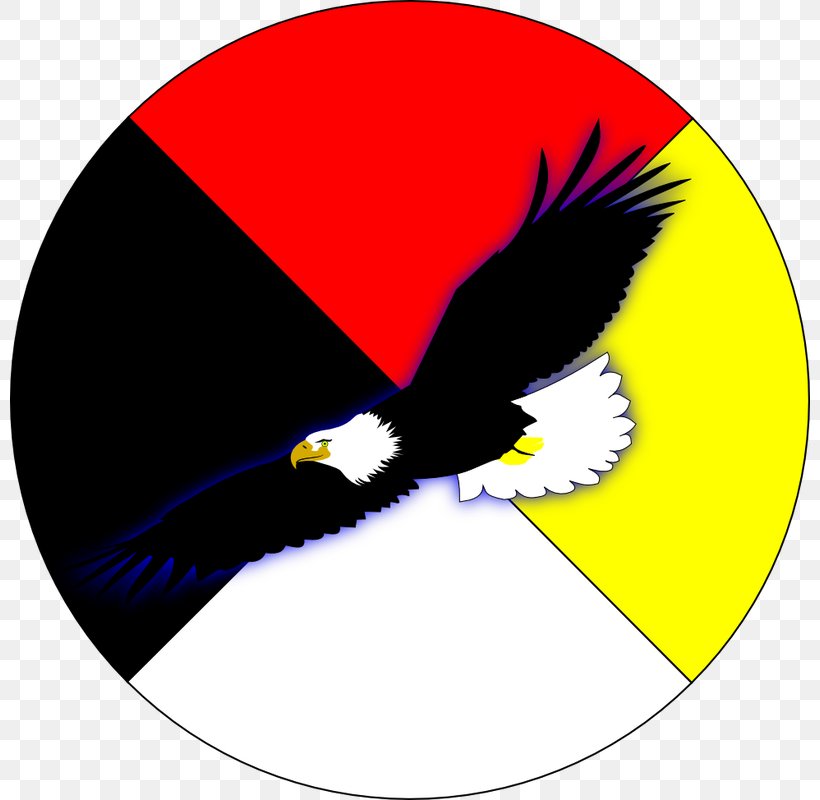 Medicine Wheel Native Americans In The United States Mi'kmaq Clip Art, PNG, 800x800px, Medicine Wheel, Beak, Bird, Computer, Frybread Download Free