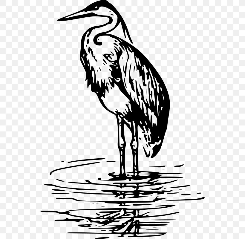 The Lonely Heron Crane Bird Clip Art, PNG, 551x800px, Heron, Artwork, Beak, Bird, Black And White Download Free