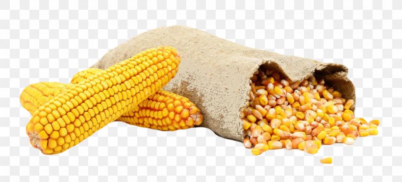 Waxy Corn Bag Corn Kernel Sweet Corn Animal Feed, PNG, 1024x467px, Waxy Corn, Animal Feed, Bag, Cereal, Commodity Download Free