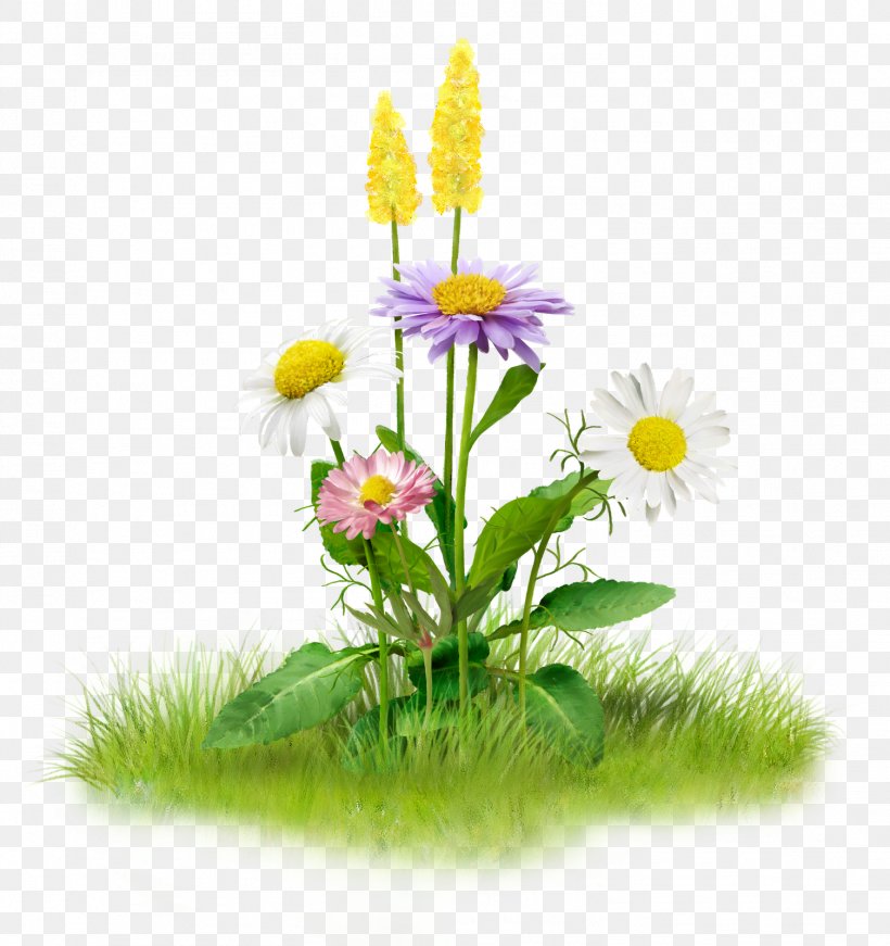 Clip Art, PNG, 1506x1600px, Nature, Daisy, Daisy Family, Dandelion, Display Resolution Download Free