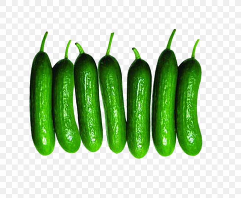 Cucumber Serrano Pepper Vegetable Melon Food, PNG, 1247x1025px, Cucumber, Auglis, Bell Peppers And Chili Peppers, Capsicum, Chili Pepper Download Free