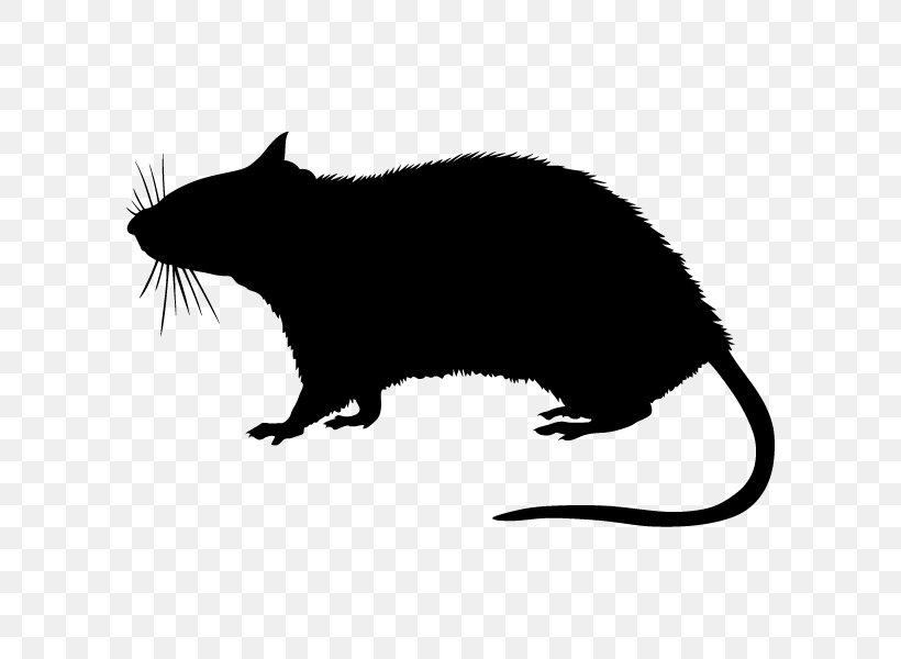 Rodent Stock Photography Silhouette, PNG, 600x600px, Rodent, Beaver, Black And White, Black Rat, Carnivoran Download Free