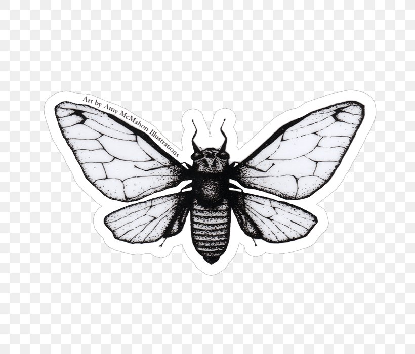 Sticker Cicadoidea Pharaoh Cicada Decal Fly Fishing, PNG, 700x700px, Sticker, Arthropod, Black And White, Bozeman Creative, Butterfly Download Free