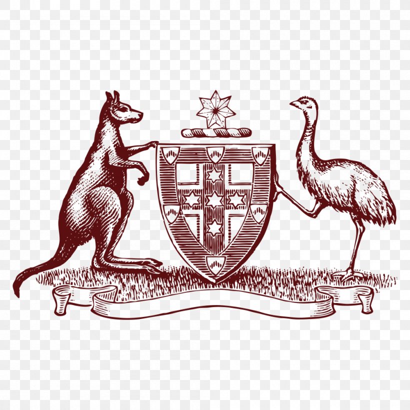 Australia, PNG, 1000x1000px, Australia, Bird, Brand, Crest, Drawing Download Free