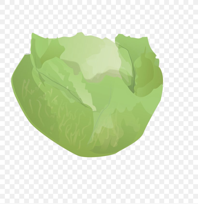 Cabbage, PNG, 800x842px, Cabbage, Copyright, Food, Grass, Green Download Free