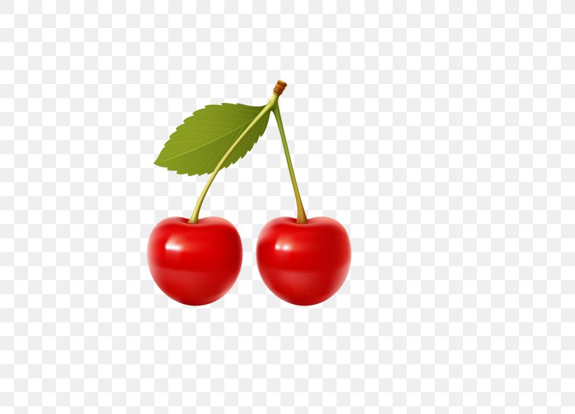 Frutti Di Bosco Coca-Cola Cherry Clip Art, PNG, 591x591px, Frutti Di Bosco, Berry, Branch, Cherry, Cherry Blossom Download Free