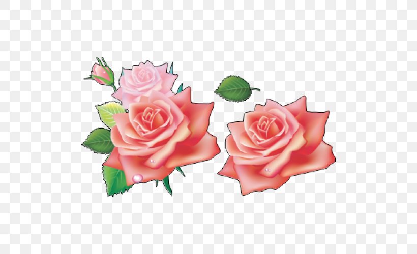 Rose Clip Art, PNG, 500x500px, Rose, Cut Flowers, Floral Design, Flower, Flower Arranging Download Free