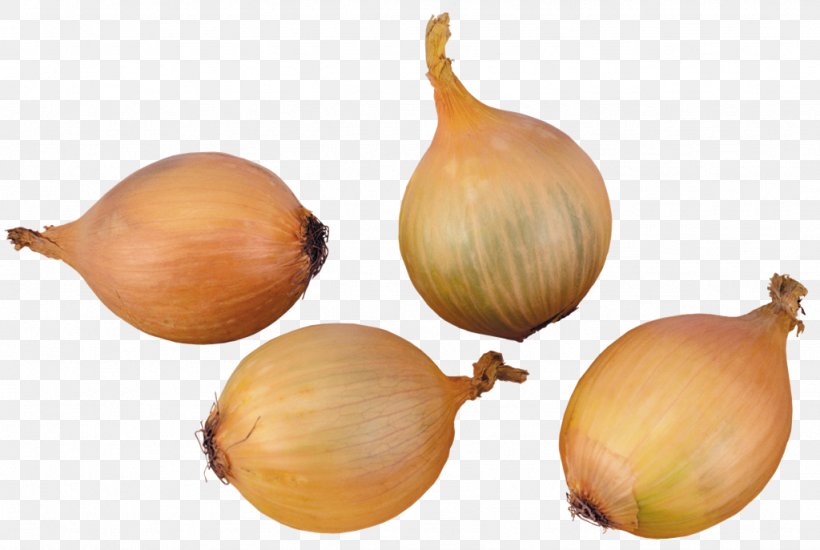 Yellow Onion Shallot Elephant Garlic Vegetable Shchi, PNG, 1024x687px, Yellow Onion, Capsicum Annuum, Common Beet, Cucumber, Elephant Garlic Download Free
