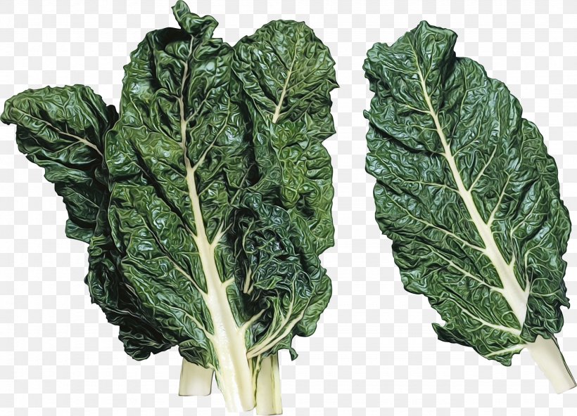 Leaf Vegetable Chard Collard Greens Vegetable Lacinato Kale, PNG, 2150x1553px, Watercolor, Chard, Collard Greens, Cruciferous Vegetables, Flower Download Free