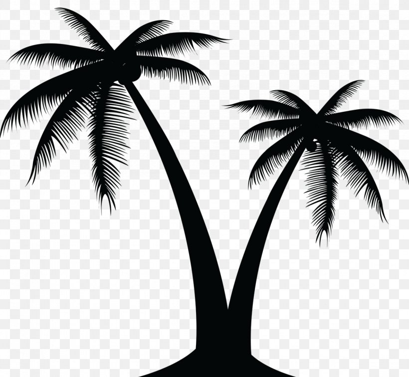 Vector Graphics Palm Trees Clip Art Silhouette, PNG, 1181x1090px, Palm Trees, Arecales, Attalea Speciosa, Blackandwhite, Coconut Download Free