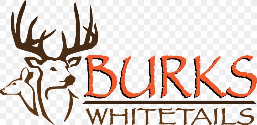 White-tailed Deer Deer Hunting Outfitter, PNG, 2673x1300px, Deer, Antler, Biggame Hunting, Bowhunting, Brand Download Free