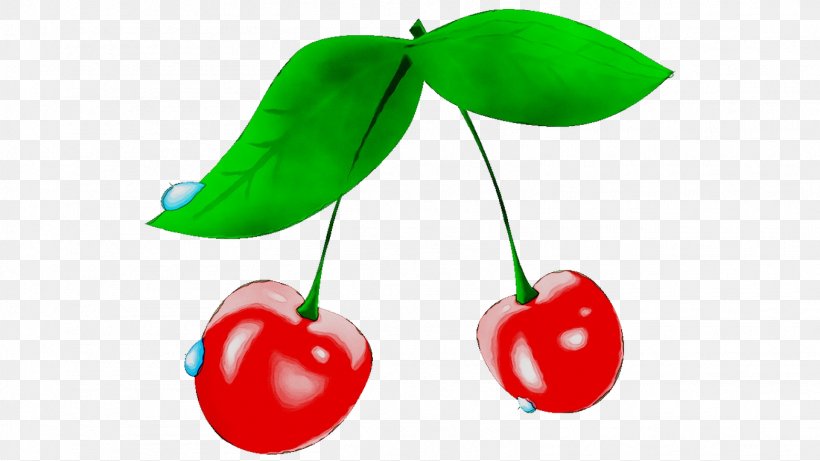 Cherry Pie Cherries Clip Art Vector Graphics, PNG, 1561x878px, Cherry Pie, Apple, Bing Cherry, Cherries, Cherry Download Free