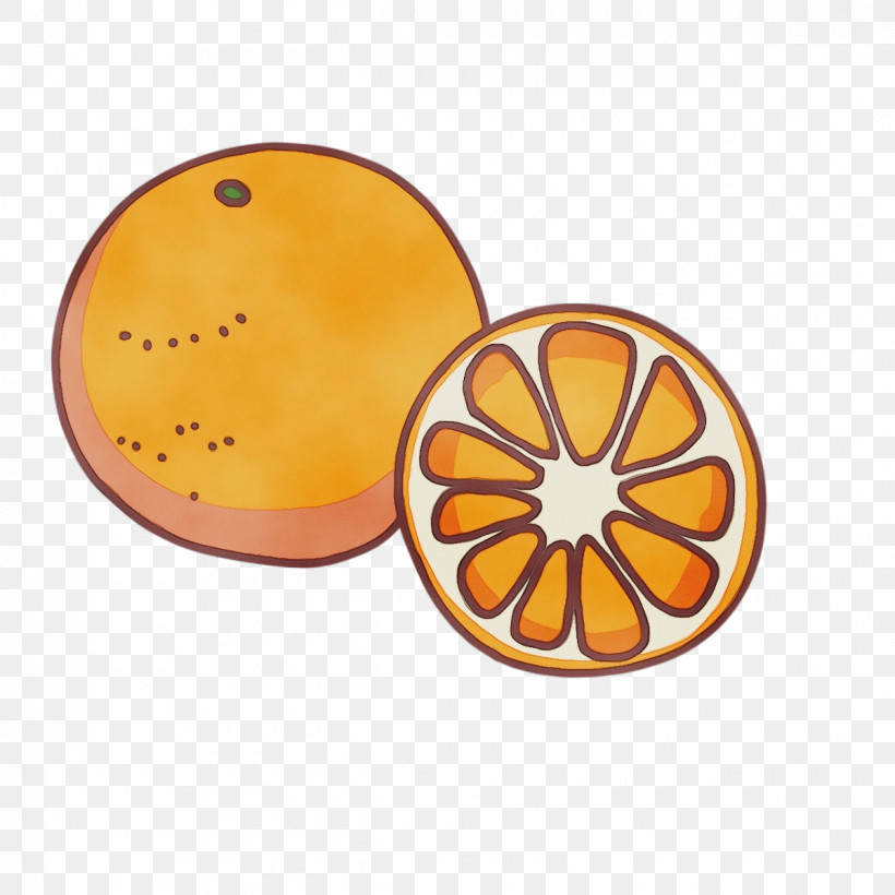 Orange S.a., PNG, 1200x1200px, Cartoon Fruit, Kawaii Fruit, Orange Sa, Paint, Watercolor Download Free