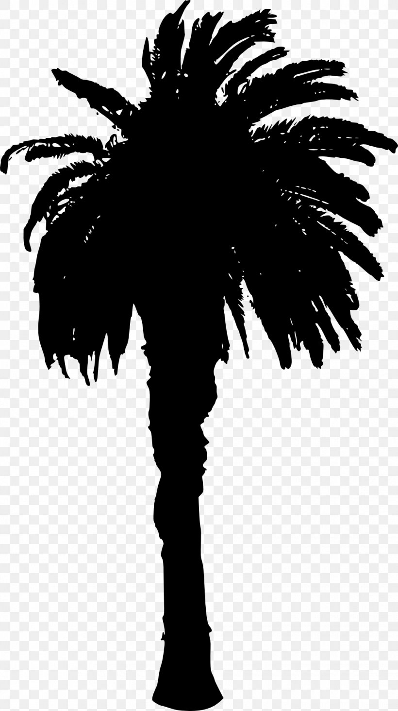 Asian Palmyra Palm Silhouette Arecaceae, PNG, 1120x2000px, Asian Palmyra Palm, Arecaceae, Arecales, Art, Black And White Download Free