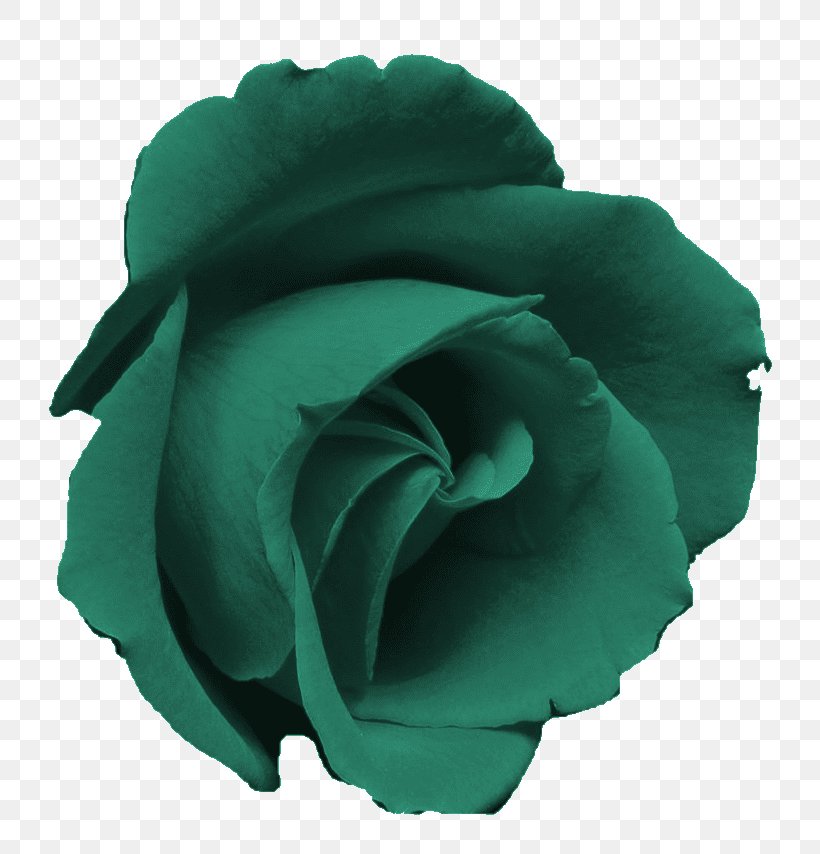 Blue Rose Pink Rose Garden Clip Art, PNG, 761x854px, Rose, Aqua, Blue, Blue Rose, Flower Download Free