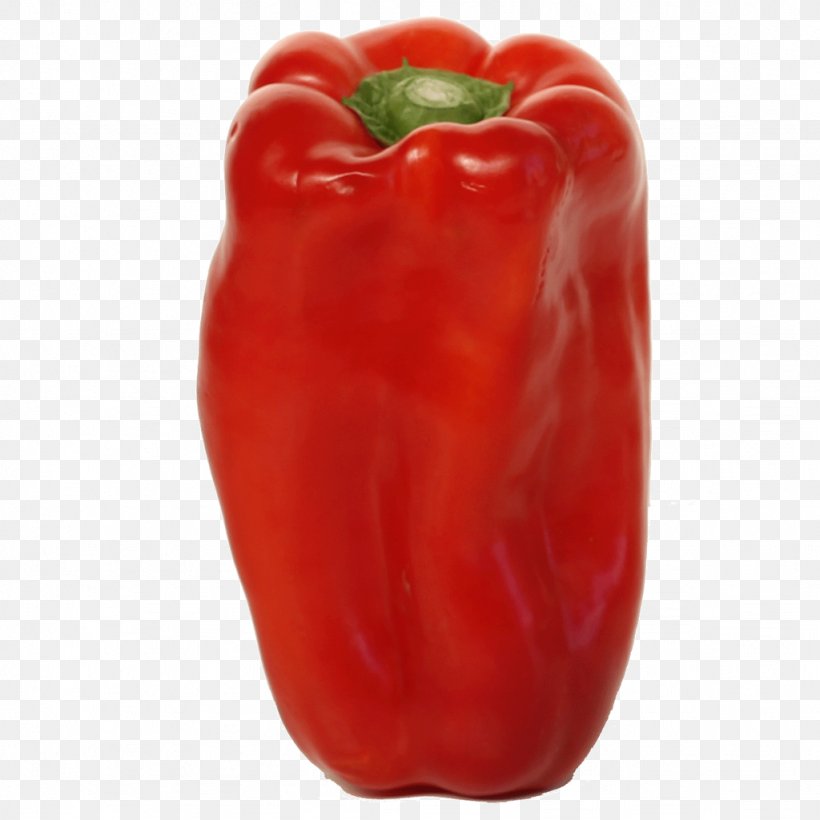 Chili Pepper Red Bell Pepper Vegetable Peperoncino, PNG, 1024x1024px, Chili Pepper, Bell Pepper, Bell Peppers And Chili Peppers, Capsicum, Capsicum Annuum Download Free