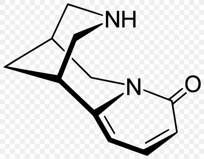 Cytisine Vilsmeier–Haack Reaction Alkaloid Chemistry Wittig Reaction, PNG, 1240x970px, Alkaloid, Area, Black, Black And White, Chemical Compound Download Free