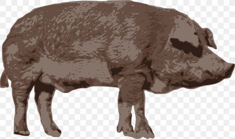 Domestic Pig Openclipart Clip Art Image, PNG, 2400x1426px, Domestic Pig, Animal Figure, Beige, Boar, Bovine Download Free