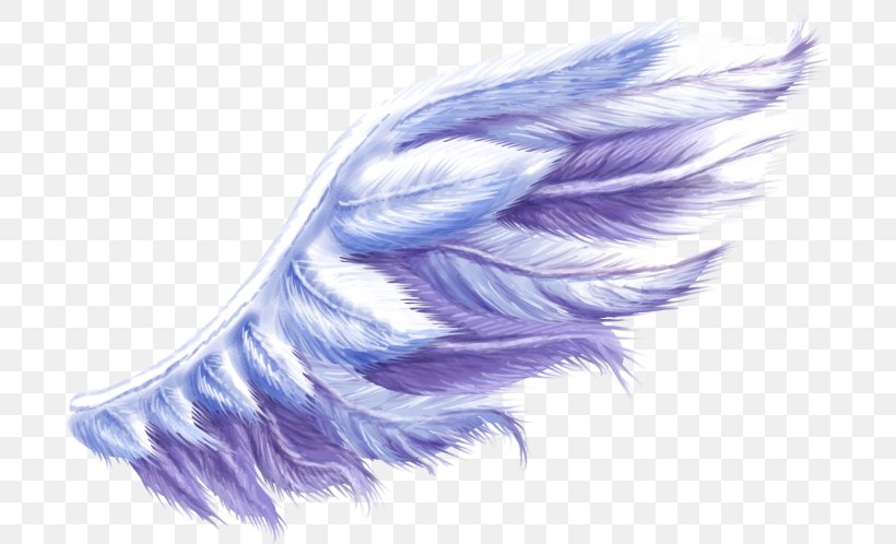 Photography Clip Art, PNG, 700x498px, Photography, Adobe Flash, Angel, Color, Feather Download Free