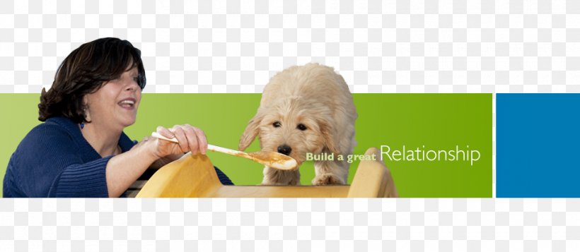 Puppy Dog Breed Retriever Human Behavior, PNG, 960x419px, Puppy, Behavior, Breed, Carnivoran, Child Download Free