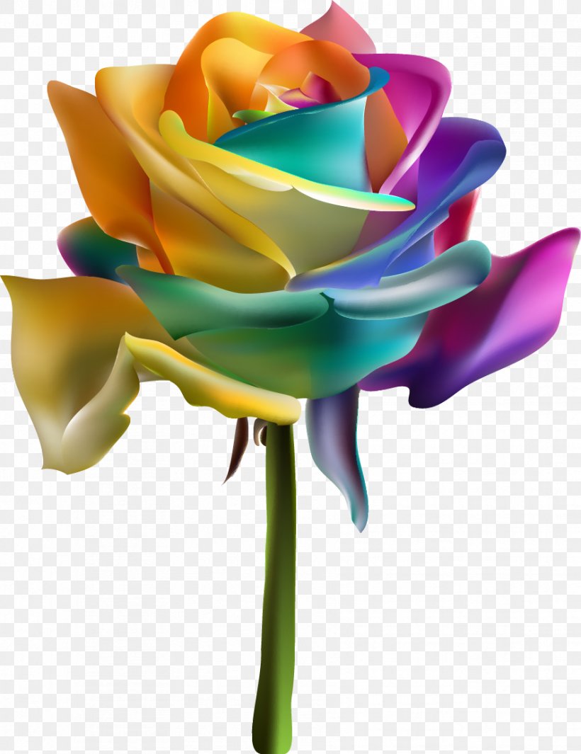 Rainbow Rose Garden Roses Euclidean Vector, PNG, 887x1153px, Rainbow Rose, Cut Flowers, Flower, Flowering Plant, Garden Roses Download Free