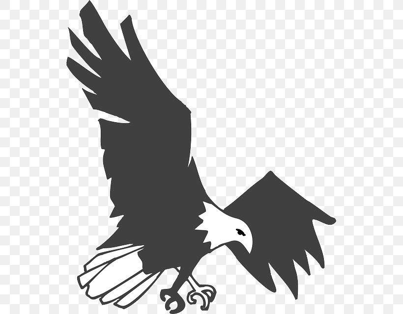 Stock Photography Eagle Drawing Clip Art, PNG, 549x640px, Stock Photography, Accipitriformes, Bald Eagle, Beak, Bird Download Free