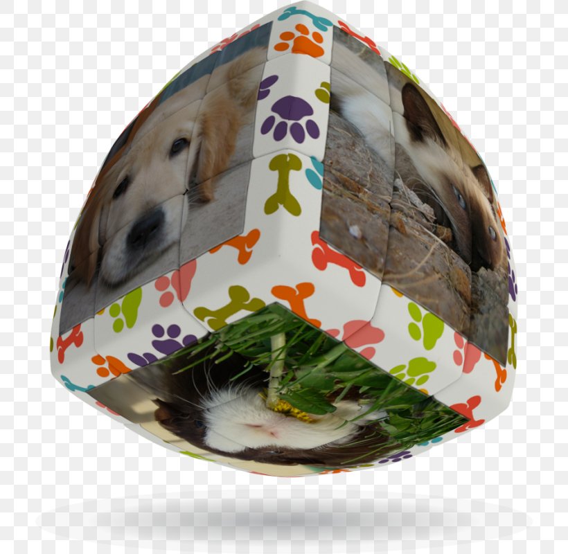 Cube Bikes Pet Animal Easter, PNG, 800x800px, Cube, Animal, Cube 2 Hypercube, Cube Bikes, Easter Download Free