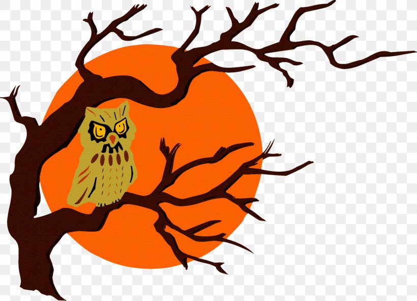 Owl Bird Clip Art, PNG, 1600x1154px, Owl, Art, Artwork, Beak, Bird Download Free