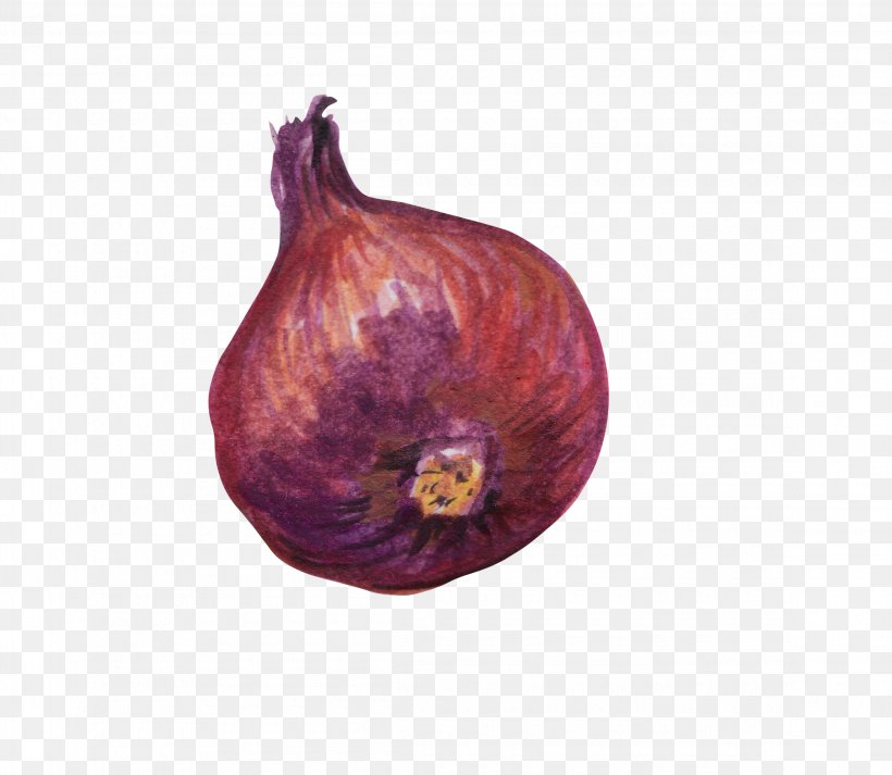 Red Onion Vegetable, PNG, 2300x2000px, Red Onion, Allium Fistulosum, Color, Food, Fruit Download Free