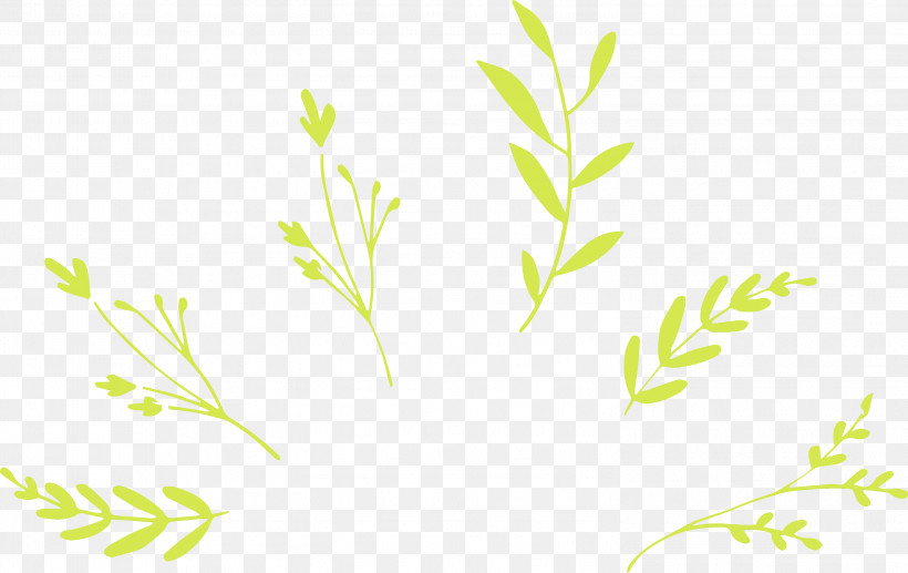 Twig Plant Stem Leaf Grasses Green, PNG, 2999x1894px, Leaf Branch, Biology, Flower, Grasses, Green Download Free