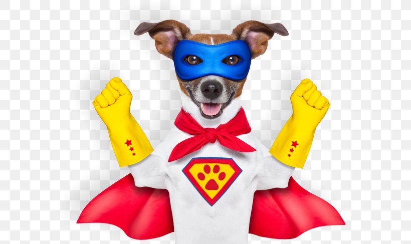 Dog Superhero Stock Photography Royalty-free, PNG, 617x487px, Dog, Carnivoran, Dog Breed, Dog Clothes, Dog Like Mammal Download Free