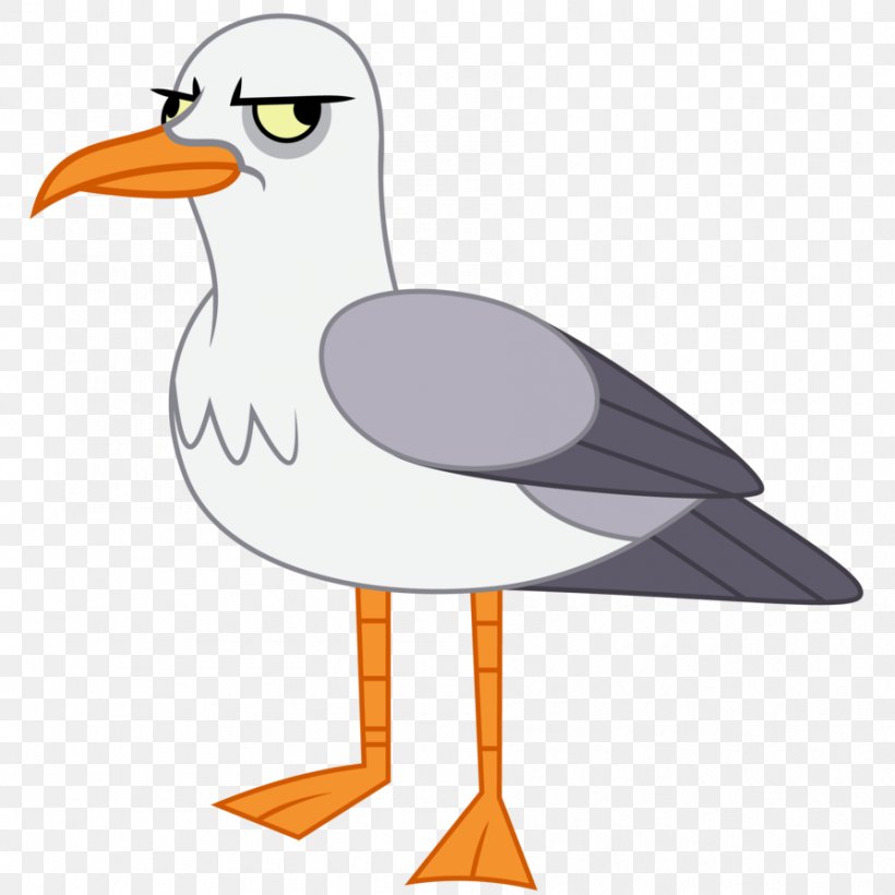 Gulls Clip Art Transparency Image, PNG, 894x894px, Gulls, Artist, Beak, Bird, Cartoon Download Free