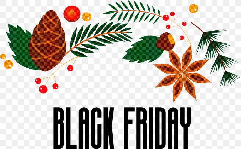 Black Friday Shopping, PNG, 3000x1867px, Black Friday, Fruit, Leaf, Logo, M Download Free