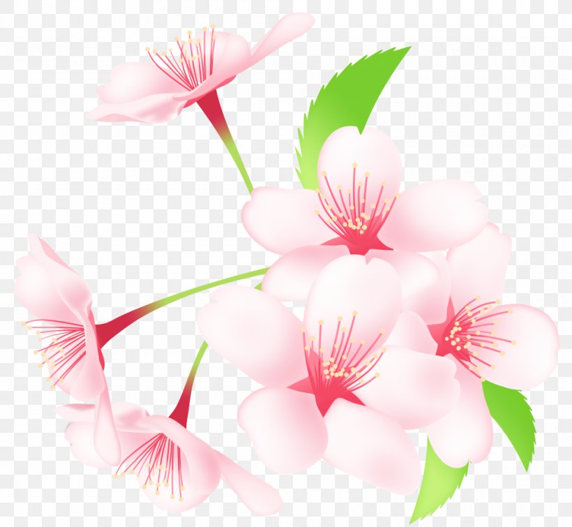 Material, PNG, 1000x921px, Cherry Blossom, Azalea, Blossom, Branch, Flower Download Free