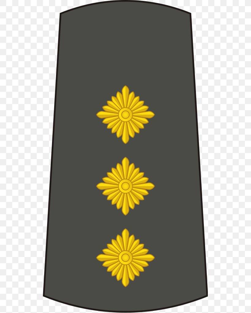 Lieutenant General Lieutenant Colonel Captain Major General, PNG, 539x1023px, Lieutenant General, Army, Army Officer, Brigadier General, Captain Download Free