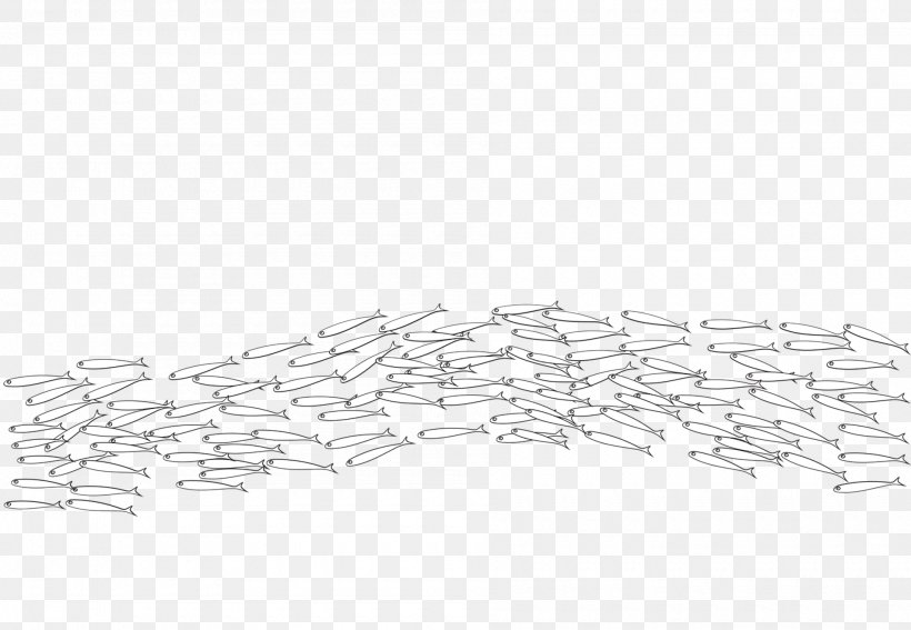 Line Point Angle, PNG, 1900x1316px, Point, Art, Black And White, Drawing, Line Art Download Free