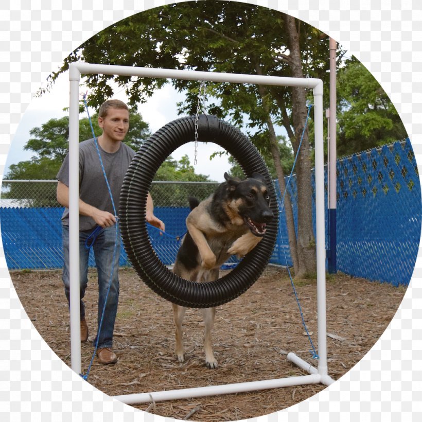 Swing Wheel Google Play, PNG, 1009x1009px, Swing, Google Play, Outdoor Play Equipment, Outdoor Structure, Play Download Free