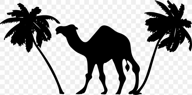 Abu Dhabi Logo Clip Art, PNG, 2343x1161px, Abu Dhabi, Arabian Camel, Black And White, Camel, Camel Like Mammal Download Free