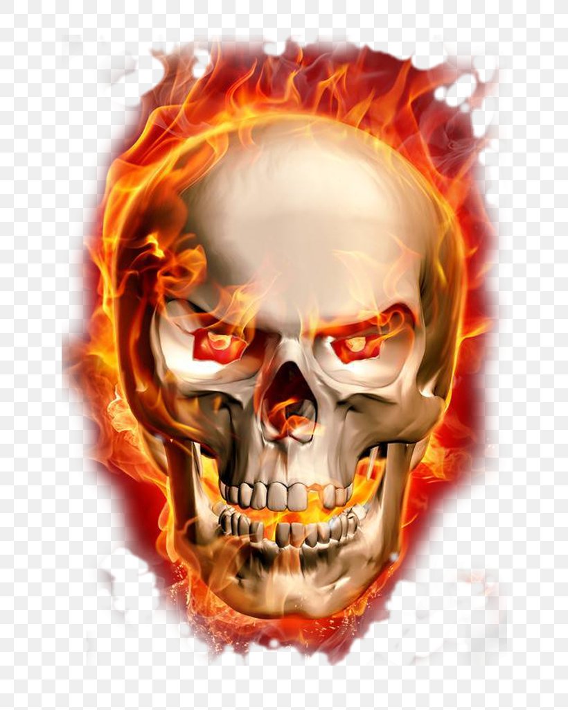 Burning Skeleton, PNG, 745x1024px, Flame, Bone, Combustion, Combustion And Flame, Cool Flame Download Free