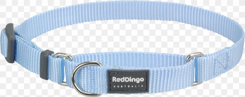 Dog Collar Dingo Martingale, PNG, 3000x1195px, Dog, Blue, Blue Mc, Buckle, Choker Download Free